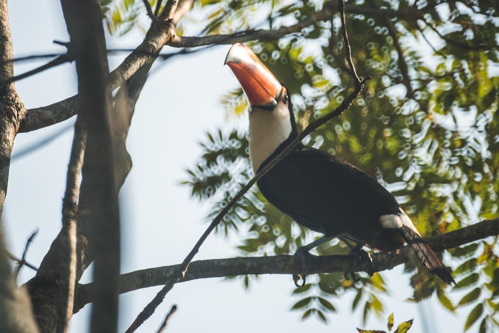 Pousada Do Peralta Bonito  Exteriér fotografie